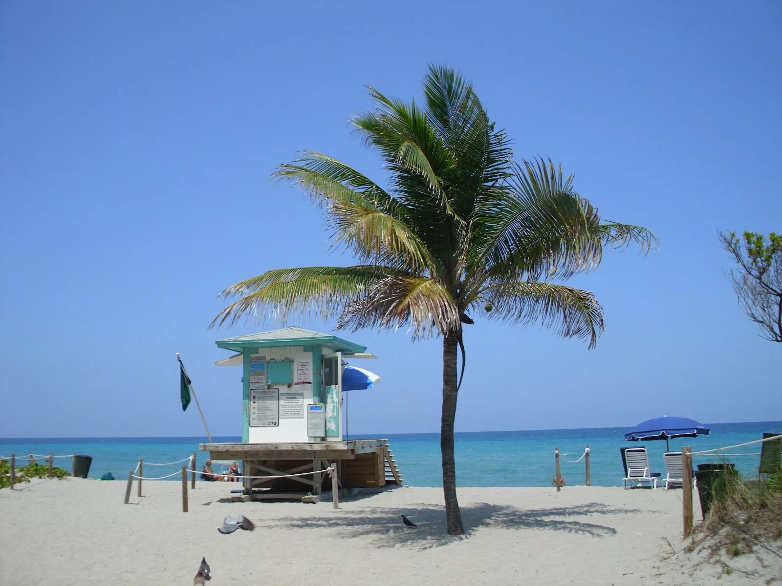 Бич бич правильно. Халландейл Бич Флорида. Халландейл Бич пляж. Beach Club Hallandale. Бичь или Бич.