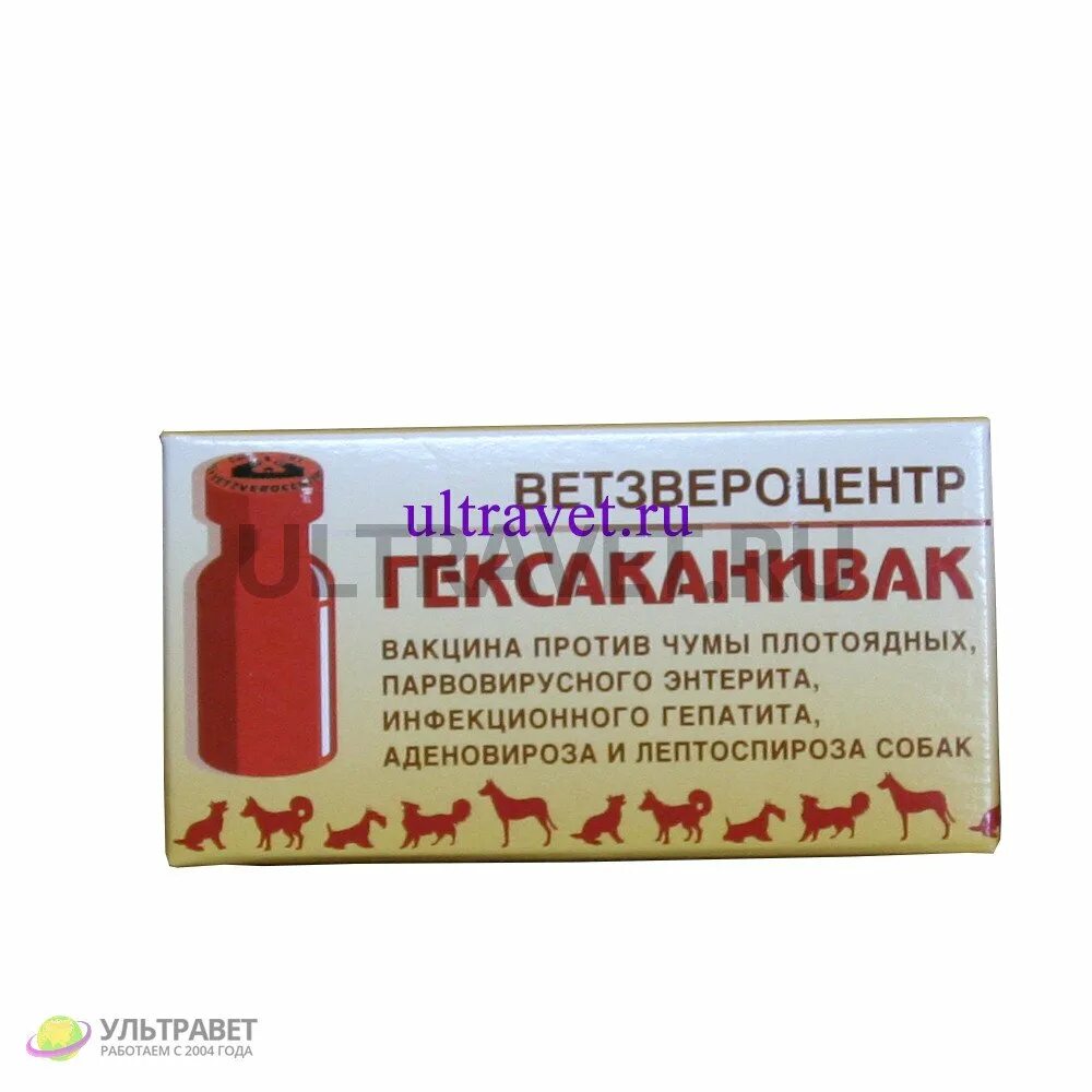 Вакцина для собак гексаканивак. Вакцина против чумы плотоядных. Прививка для собак Гексаканивак. Биовак вакцина для собак. Сыворотка против чумы энтерита у собак.