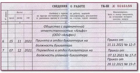 Бумажная трудовая книжка в 2023