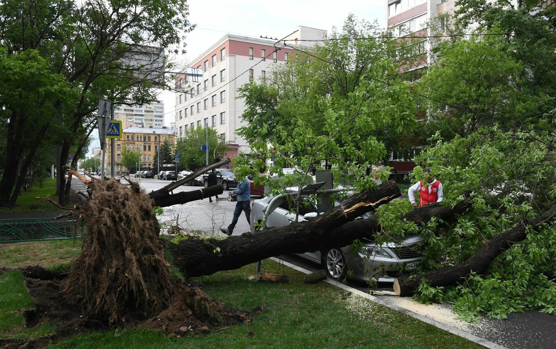 Ураган в москве вчера. Ураган в Москве 29 мая 2017 года. Ураган 2017 года в Москве. Ураган в Москве 1998. Поваленные деревья в Москве.