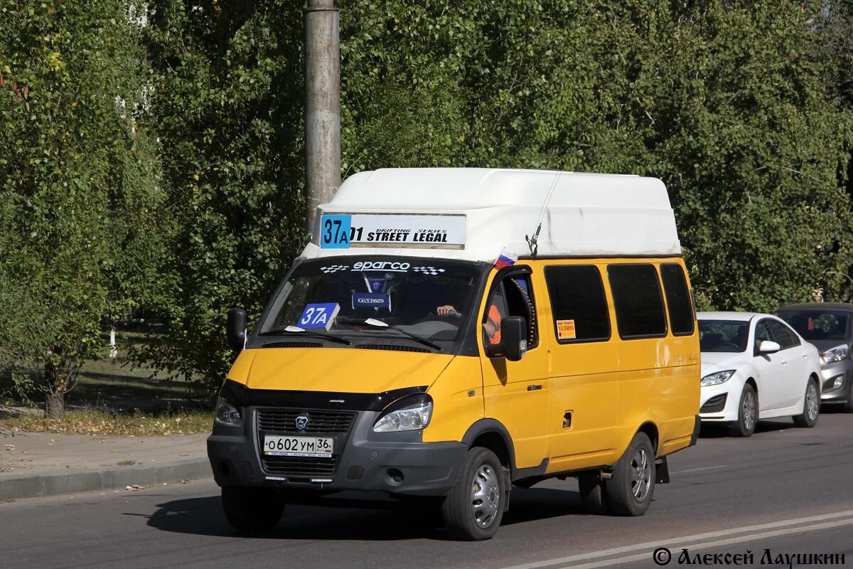 ГАЗ-322133 (XTH, x96). 37 Маршрут Воронеж. 88а маршрут Воронеж. Маршрутка 37. 37 маршрутка воронеж