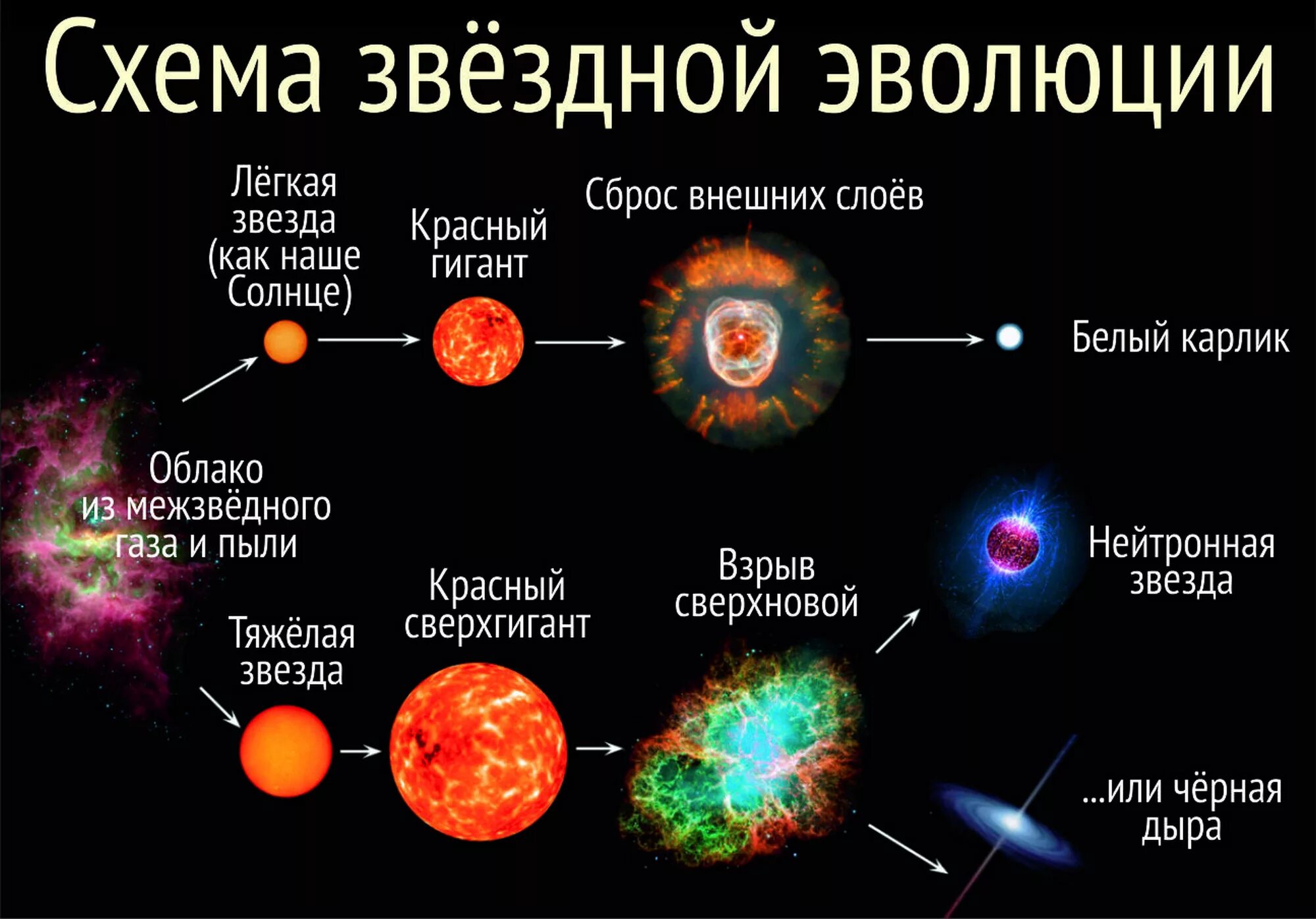 Звезды какие признаки. Схема звездной эволюции. Этапы эволюции звезд схема. Жизненный цикл звезд протозвезда. Цикл жизни звезды схема.