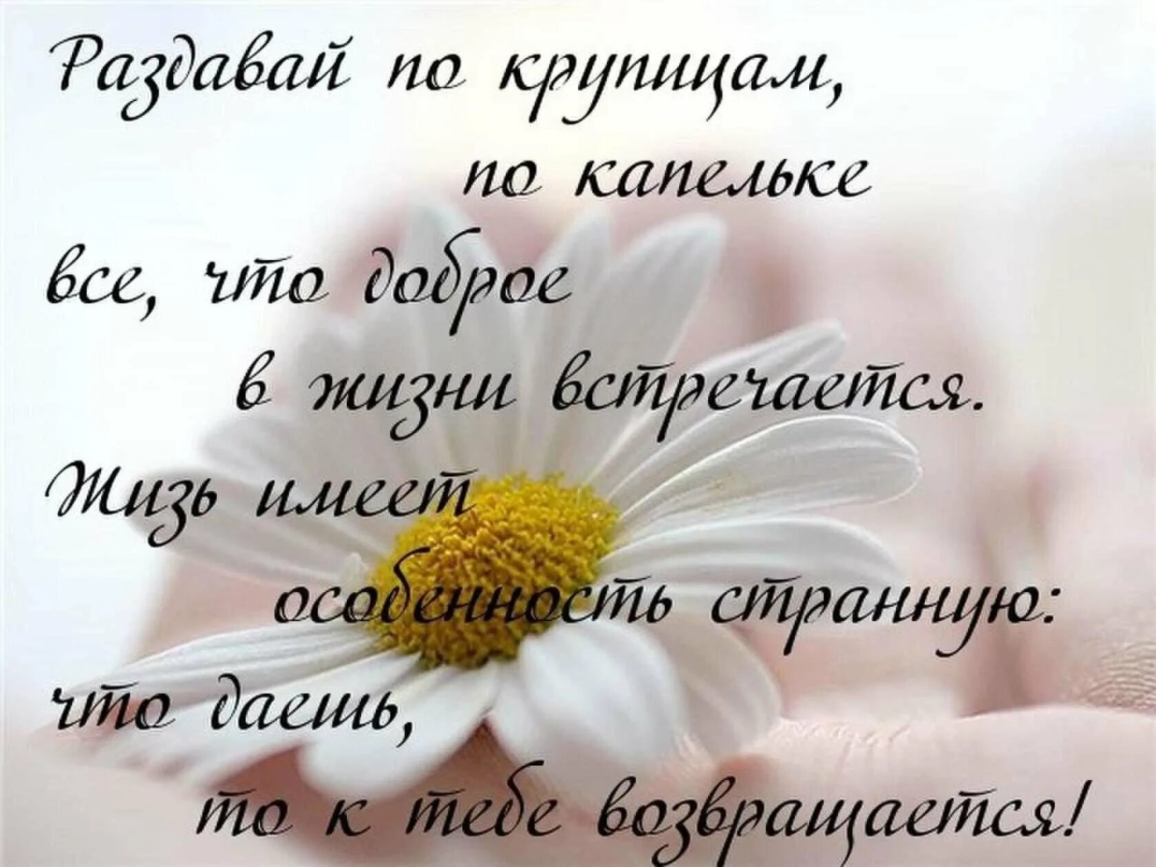 Добрые пожелания и высказывания. Добрые пожелания Мудрые высказывания. Открытки с красивыми высказываниями. Афоризмы о доброте души. Открытки с добрыми мудрыми словами