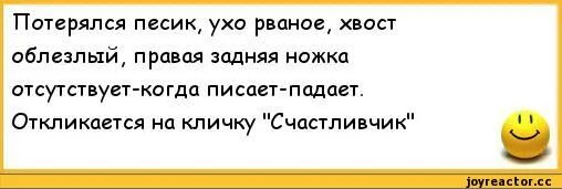Итальянская мафия лаки лучано. Кличке счастливчик. Мафия нью-йорка. Кличке счастливчик. Анекдот про собаку по кличке счастливчик.