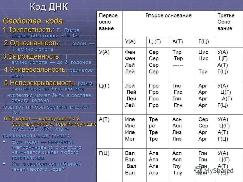 генетический код 64 триплета. таблица генетического кода днк на английском. код днк таблица. таблица ген кода днк. таблица генетического кода днк и рнк.