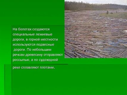 Слова употребляемые жителями одной местности