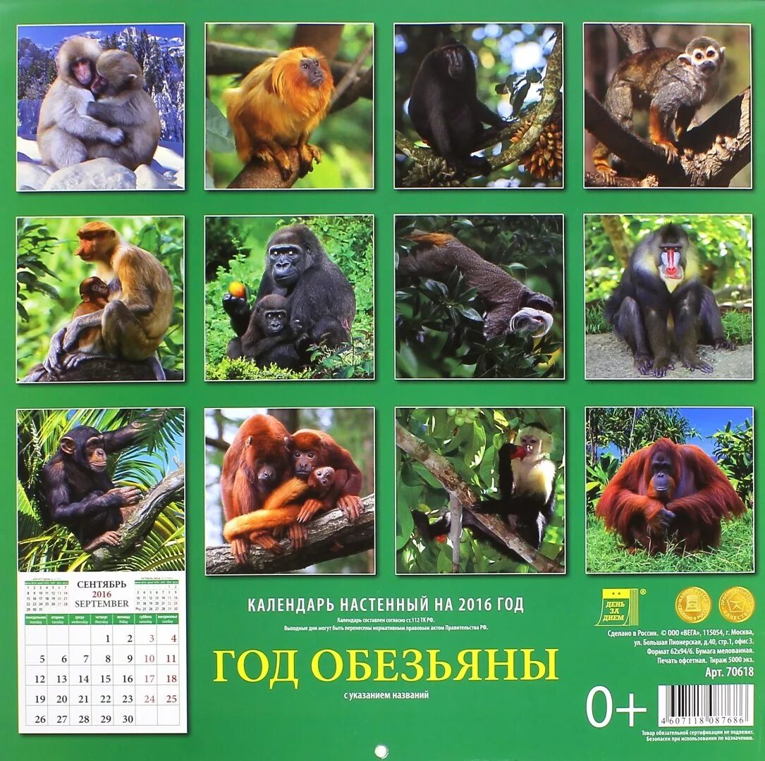 Календарь с обезьяной. Календарь 2016 год обезьяны. Календарь 2004 год обезьяны. Календарь настенный 2004 года с обезьяной.