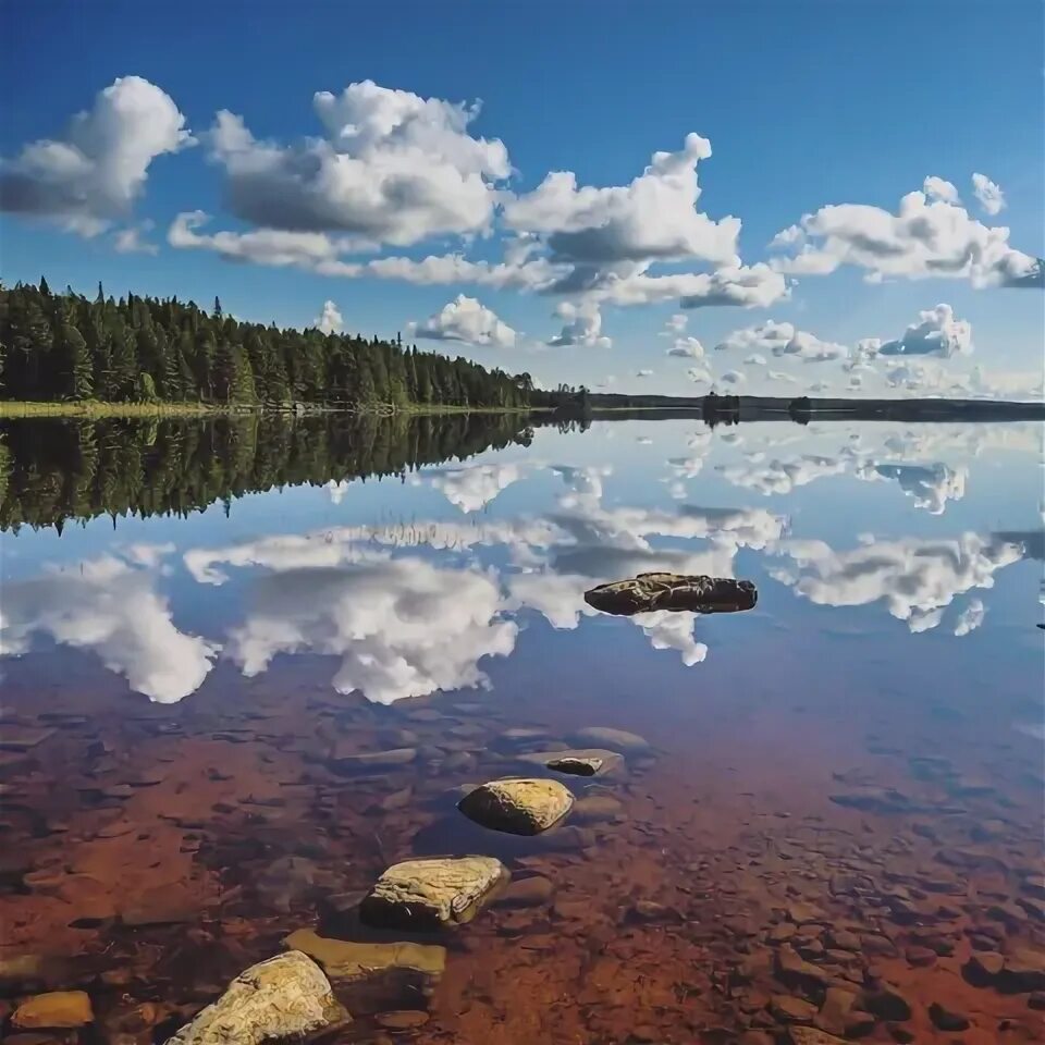 Пляж Зеркального Озера в Ленинградской Области Дары природы Фотогалерея природы