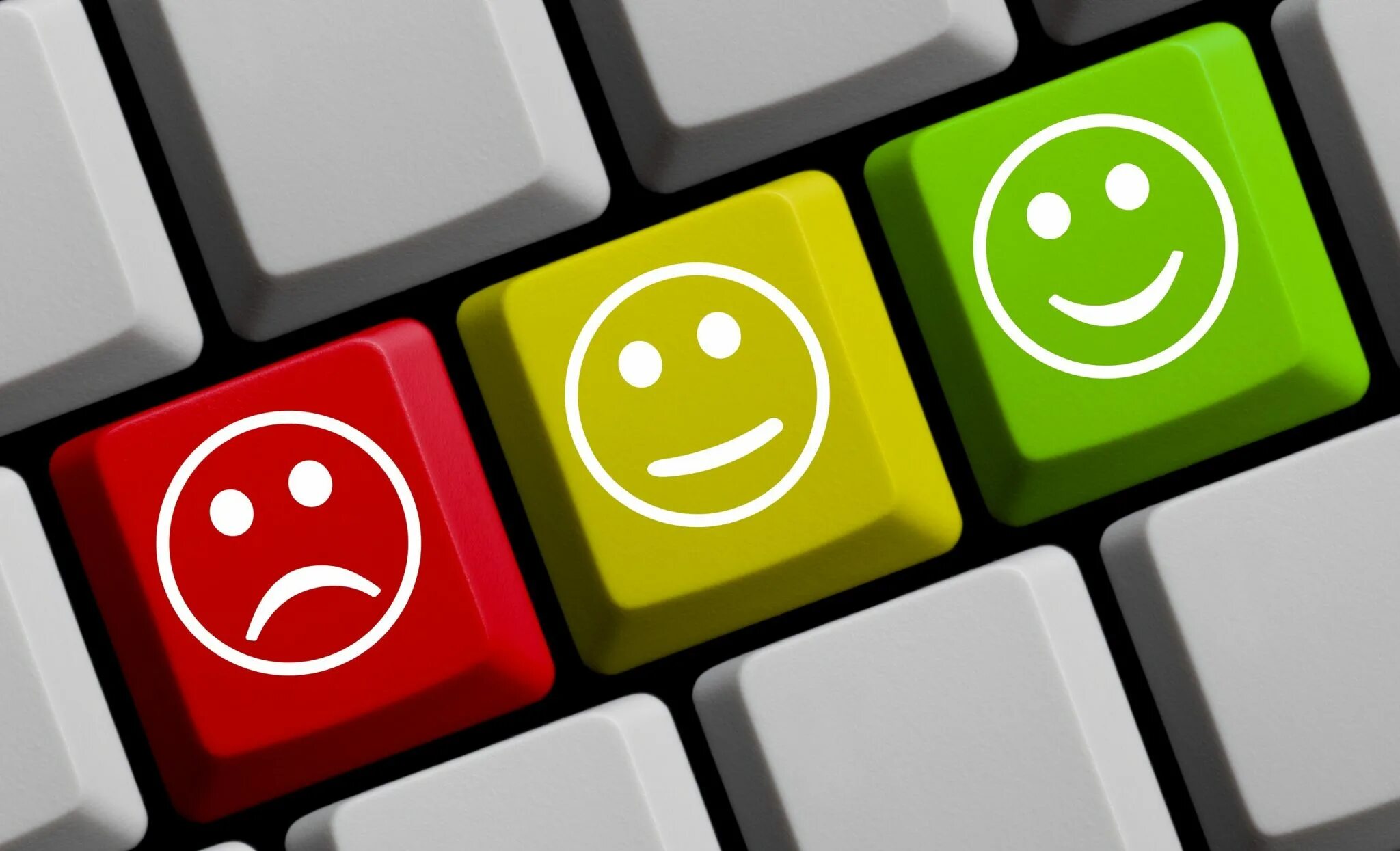 Feedback all in