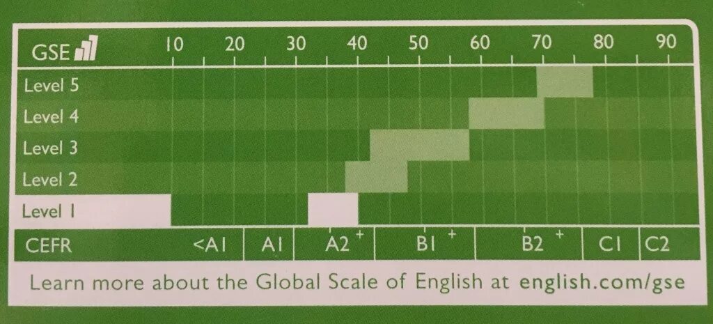 Scale levels. Scale levels