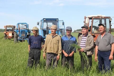 Камышинское опх