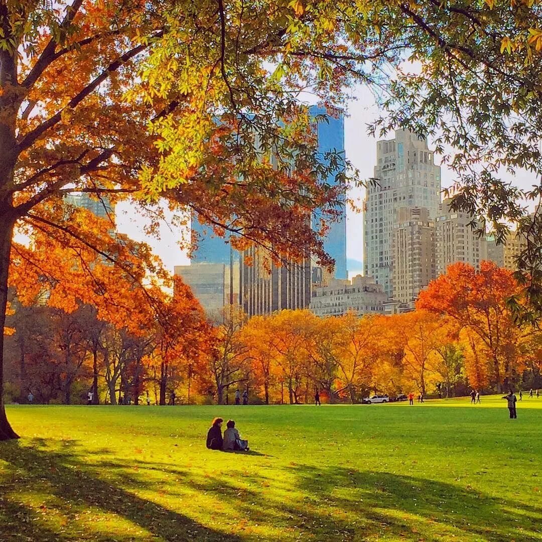 Парки в америке в городе. Центральный парк Нью-Йорк осенью. Централ парк Нью-Йорк осень. Осень в городе Нью Йорк. Центральный парк Нью-Йорк осень осень.