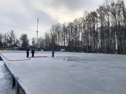 Сходня дня