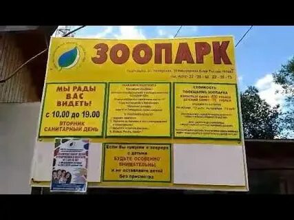 Приходите генералы в воскресенье в зоопарк
