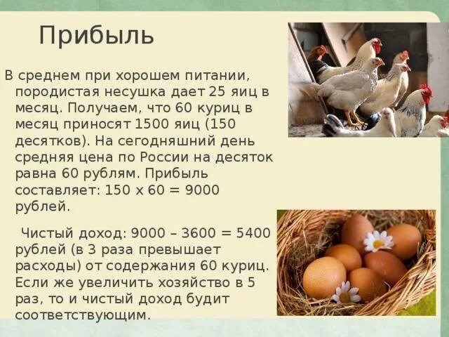 Сколько дней курица высиживает цыплят. Сколько яиц несет курица. Сколько яиц несет курица в день. Сколько яиц несет курица в год. Сколько яиц дает курица Несушка в день.