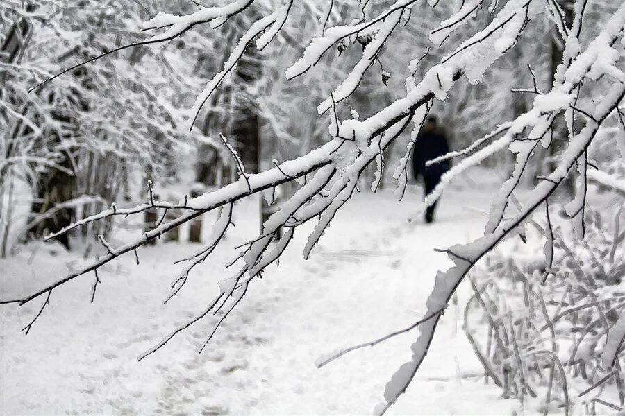 Ссорился зимой расстался. Зима расставание снег. Зима расставание картинки. Зимняя прелюдия. Была зима.