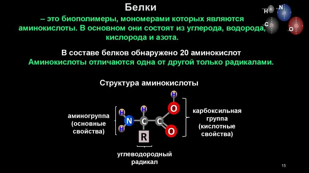 Биополимеры являются белки