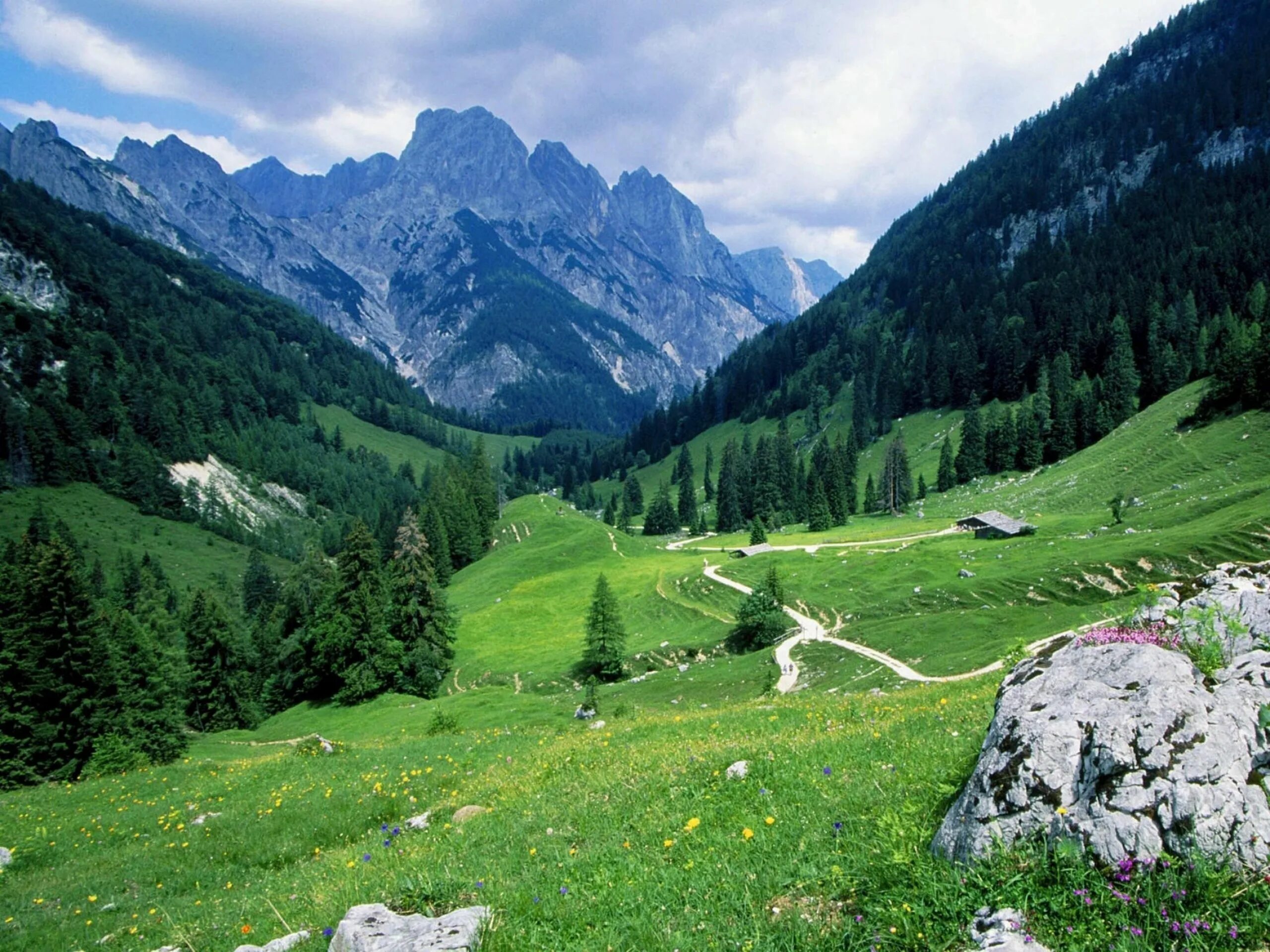 Природные зоны германии и их основные особенности. Альпийские Луга Швейцария. Альпийские Луга Австрии. Альпийские Луга Бавария. Климат Лихтенштейна Альпийские Луга.