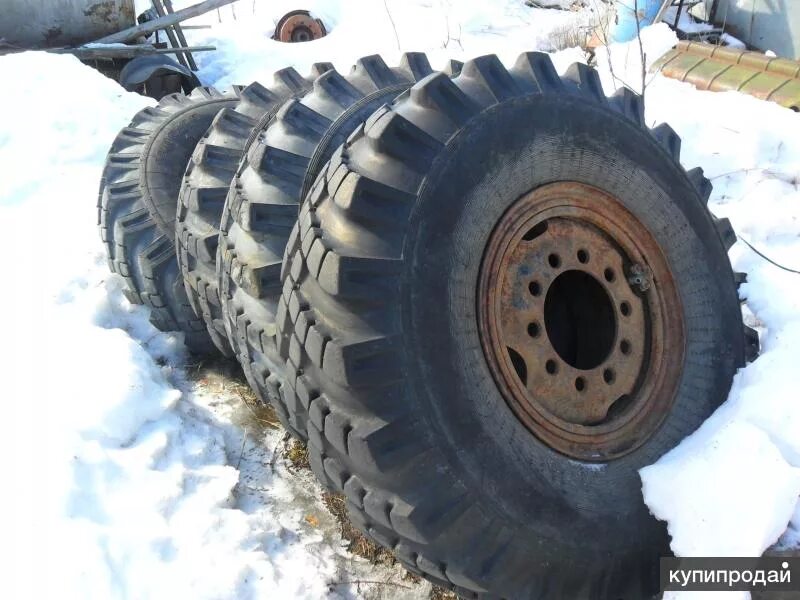 Шина Урал вездеход r20. Колесо вездеход КАМАЗ r20. Урал КАМАЗ покрышки колеса. Шины КАМАЗ вездеход радиус 21. Куплю колесо камаза бу