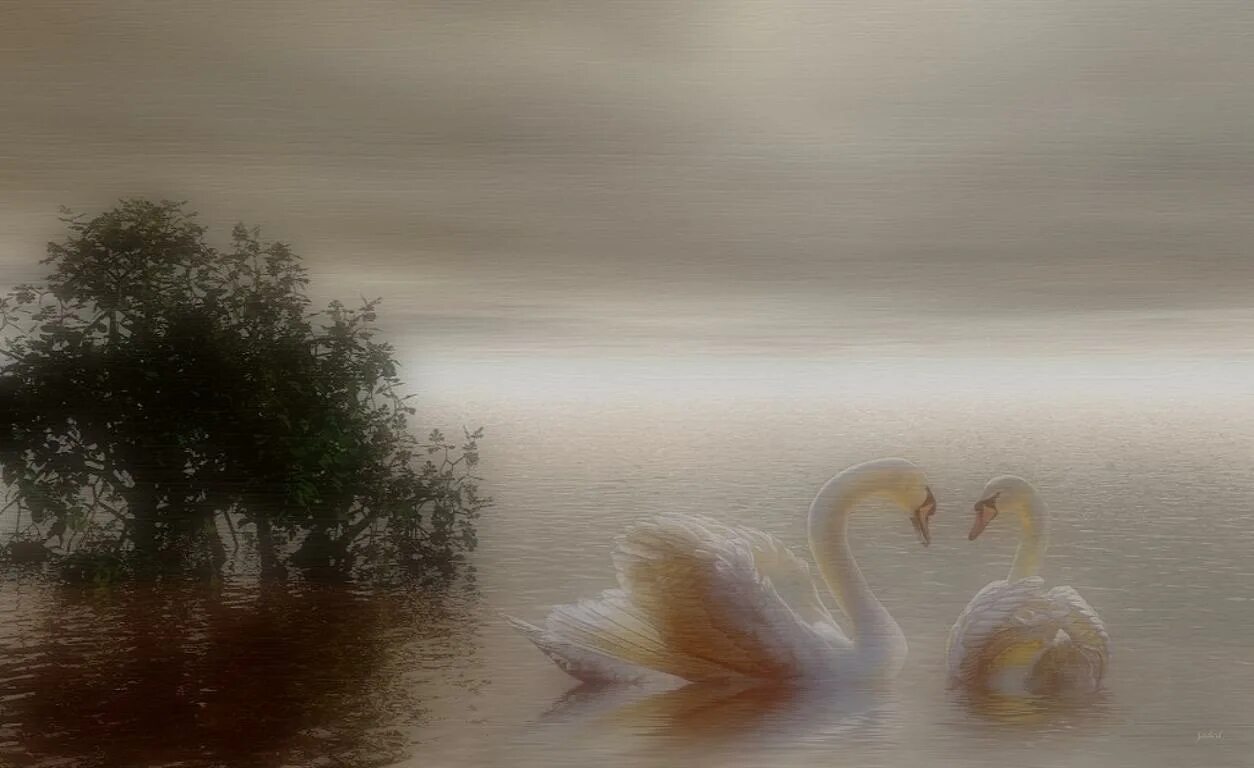 Лебеди живопись. Пейзаж с лебедями. Картина "лебеди". Живопись лебеди на озере.