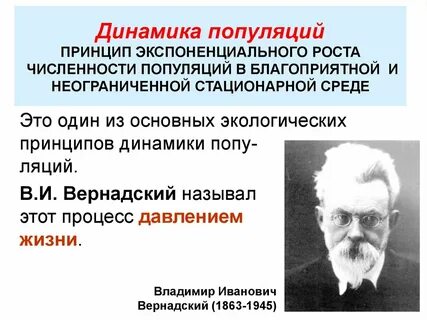 Популяция ученый