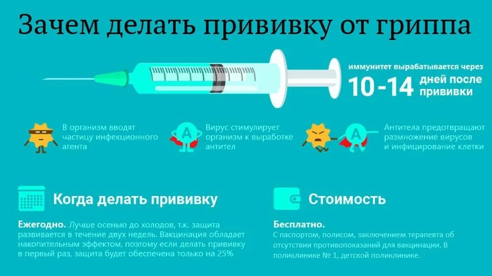 Вакцинация от гриппа. Прививки от гриппа. Иммунизация против гриппа. Прививки против гриппа проводят. Прививка от гриппа какие