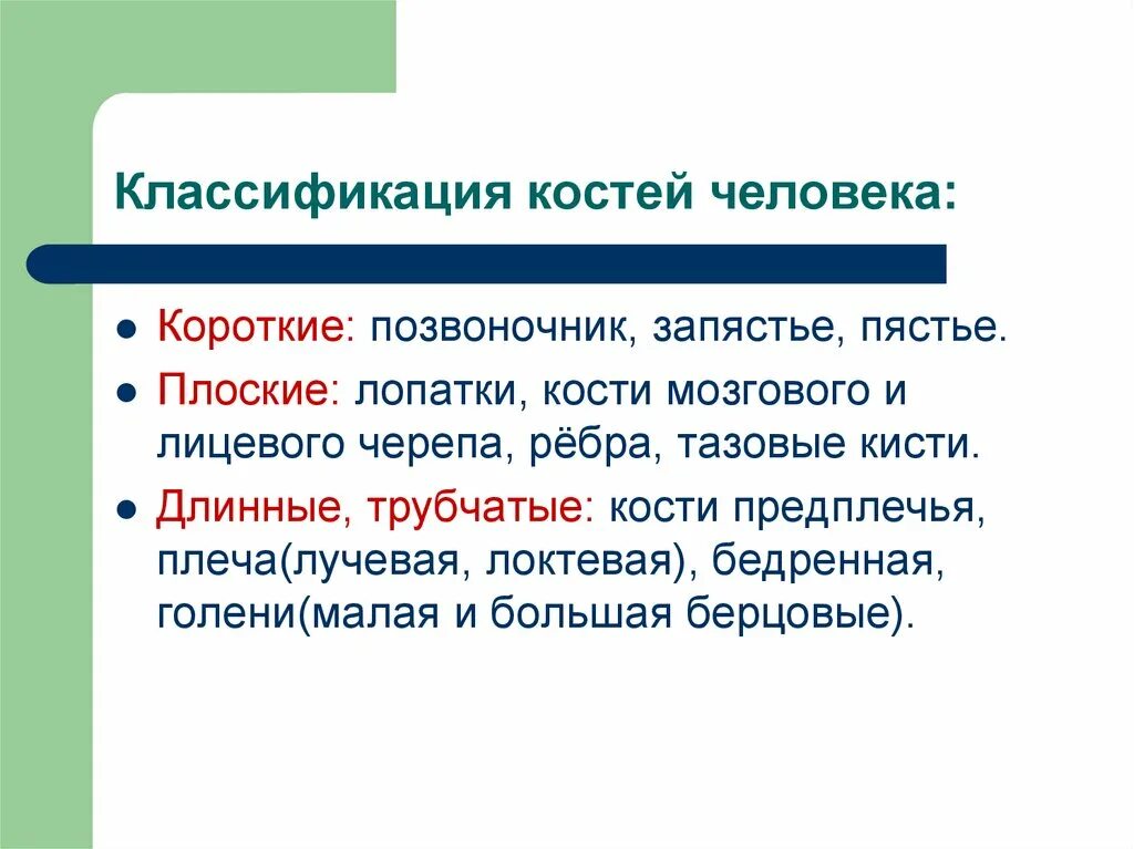 Характеристика и классификация костей. Классификация костей. классификация костей человека. лопатка классификация кости. систематика костных.