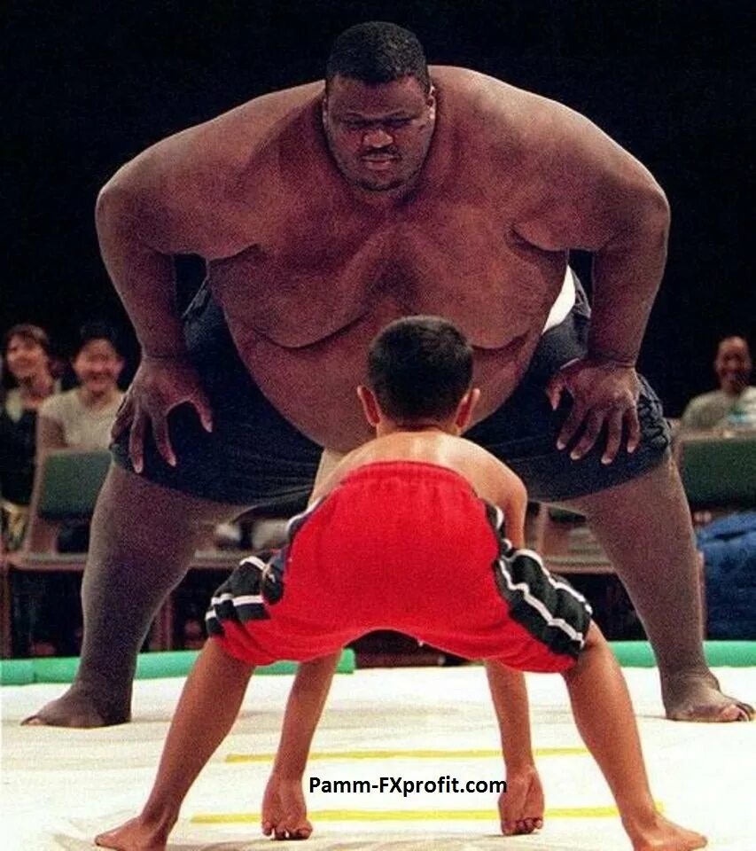 Сильнейший слабейший мем. Эммануэль Ярборо борцы сумо. Огромный борец.