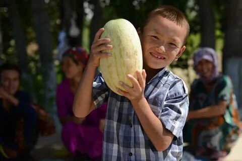 Получил дыню