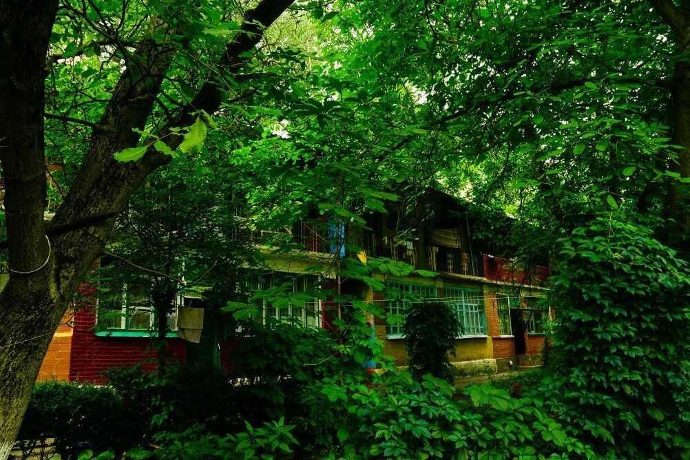 Казахская улица. Г ростов ул казахская. Г ростов ул казахская. Бульвар меотиды, 15/20. Казахская 113.