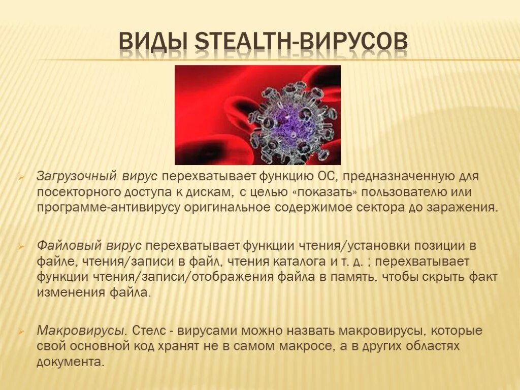 Виды типы вирусов. Виды вирусов. Вирусы невидимки. Виды файловых вирусов. Функции вирусов.