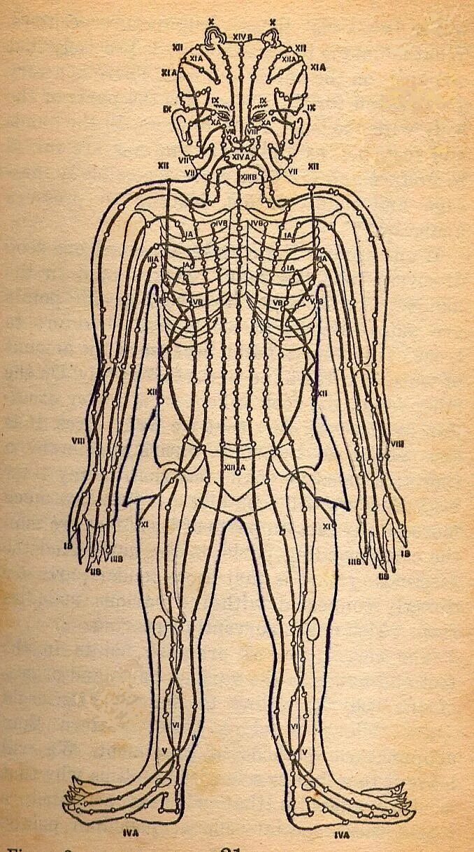 Меридианы человека китайская. Энергетические меридианы тела. 12 Энергетических меридианов человека. Энергетические каналы в теле человека китайская медицина. Энергетические каналы человека (меридианы).