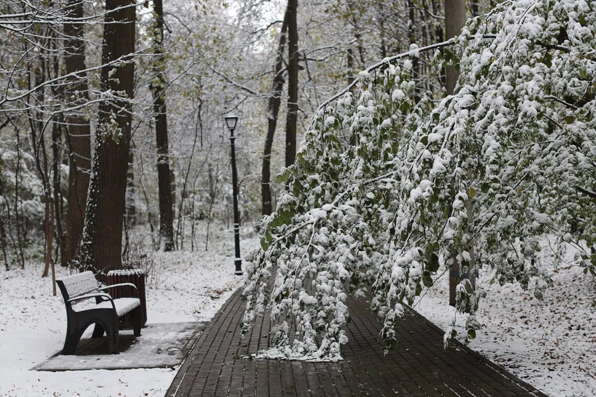 зима началась. первые сугробы. встреча осени с зимой. зима в россии. первый снег.