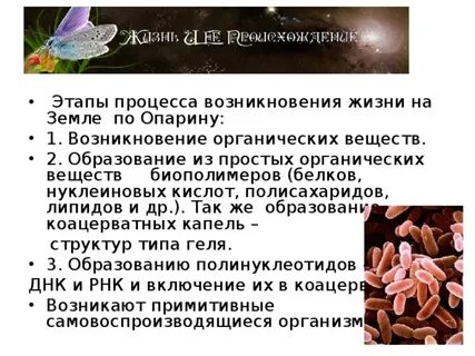 Установите последовательность возникновения жизни на земле