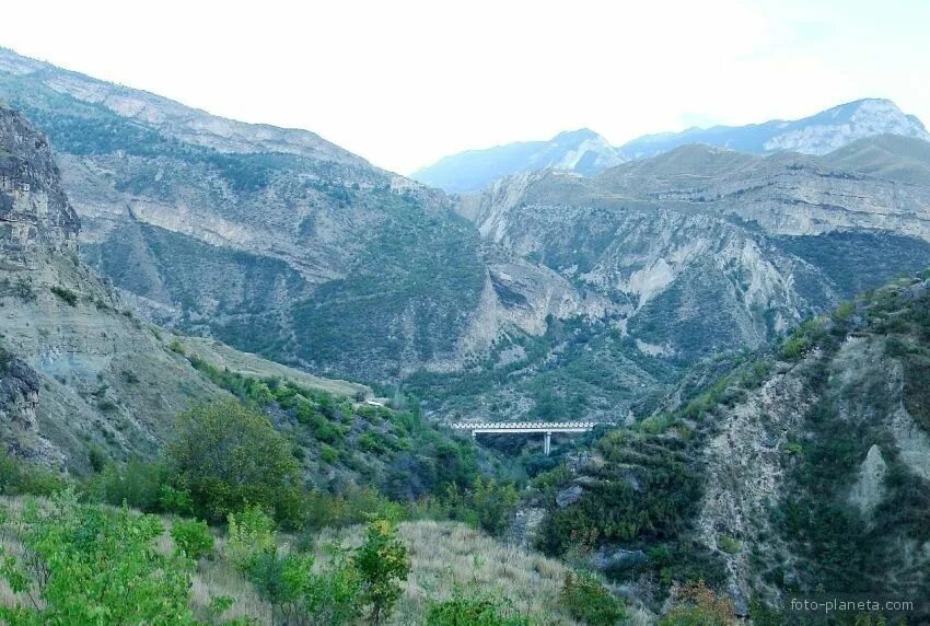 Гоцатль Дагестан. Село Гоцатль Дагестан. Малый Гоцатль Дагестан. Село Гоцатль Хунзахский район. Погода большой гоцатль