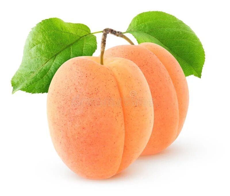 Пара абрикос. Урюк абрикос нектарин персик. Пара абрикос. Брико. Абрикос плод.