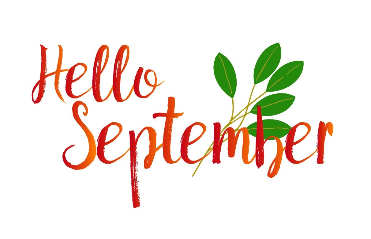 Welcome to rise. September soon. September is soon..