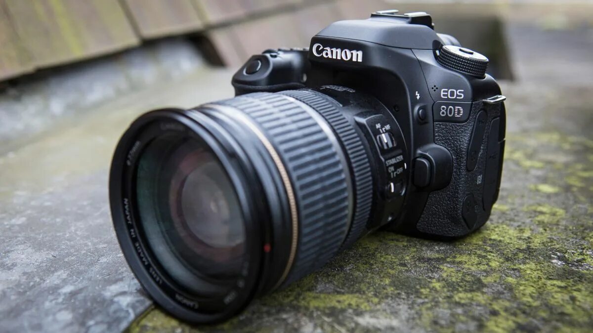 Canon 80d. Canon EOS 80d Томск. Кэнон 80д новый. Зеркальный фотоаппарат Canon 80в. Matrix Canon 80d.
