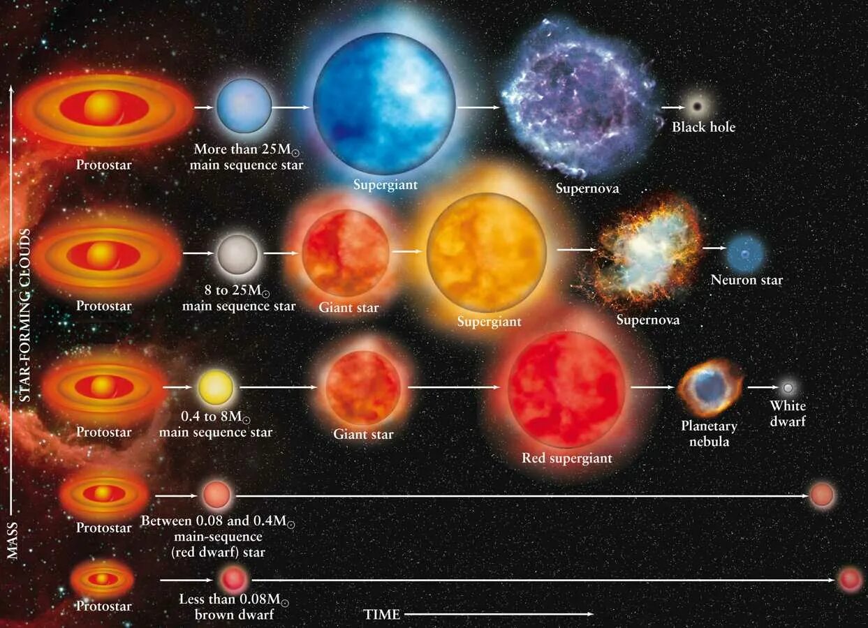Путь жизни звезды. Жизненный цикл звезд главной последовательности. Эволюция звезд протозвезда. Цикл эволюции звезд. Фазы жизни звезды.