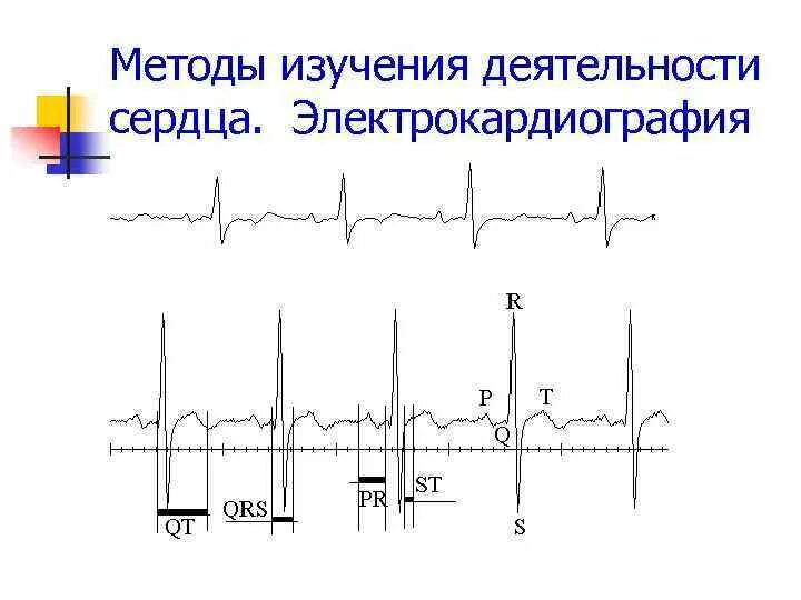 Электрокардиография 1 из важных методов исследования работы. Методы исследования сердца физиология. методы исследования сердечной деятельности. методики исследования сердечной деятельности. методы изучения работы сердца.