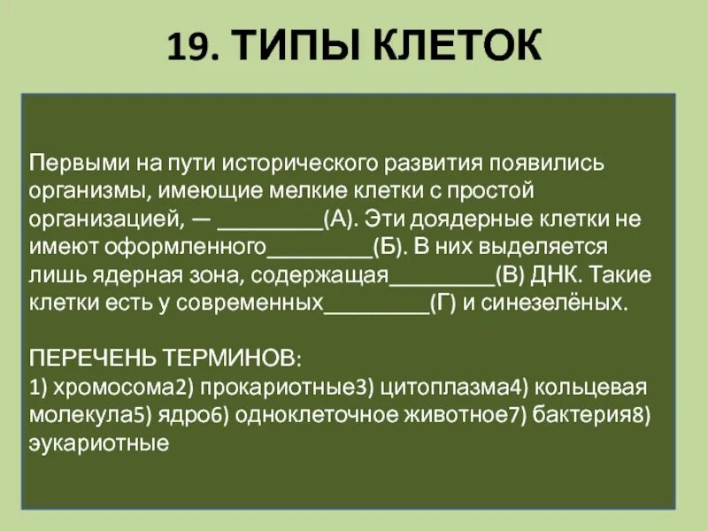 Простая организация имеет. Первыми на пути исторического развития появились. Первыми на пути исторического развития появились организмы имеющие. Имеющие мелкие клетки с простой организацией. Мелкие клетки с простой организацией.