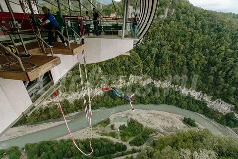 Скайпарк для кошек