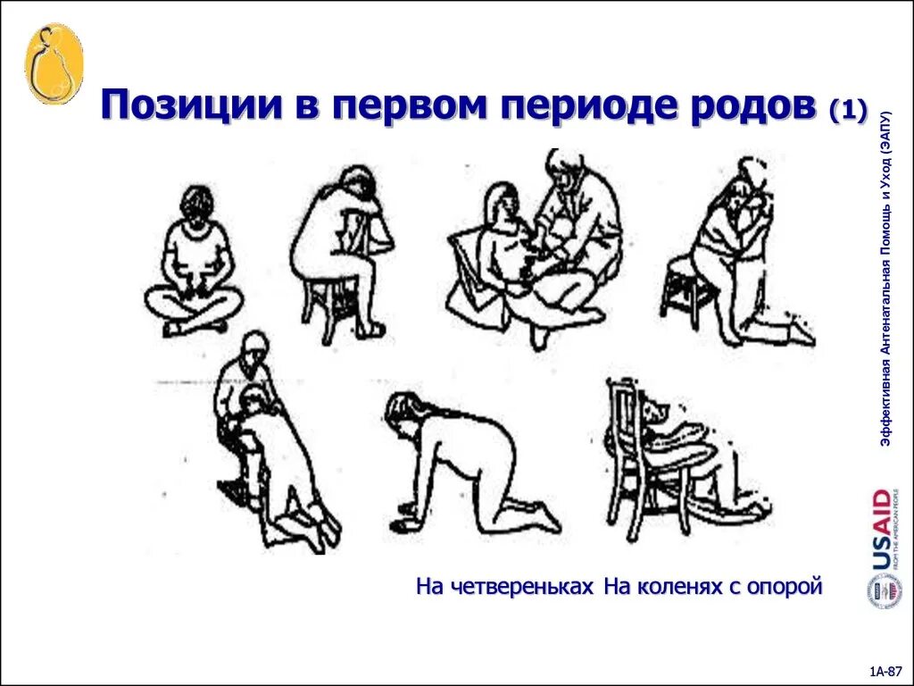 В первом периоде. Позиции в первом периоде родов. Позиции в 1 период родов. Примеры различный положений в родах. Схватки в первом периоде родов.