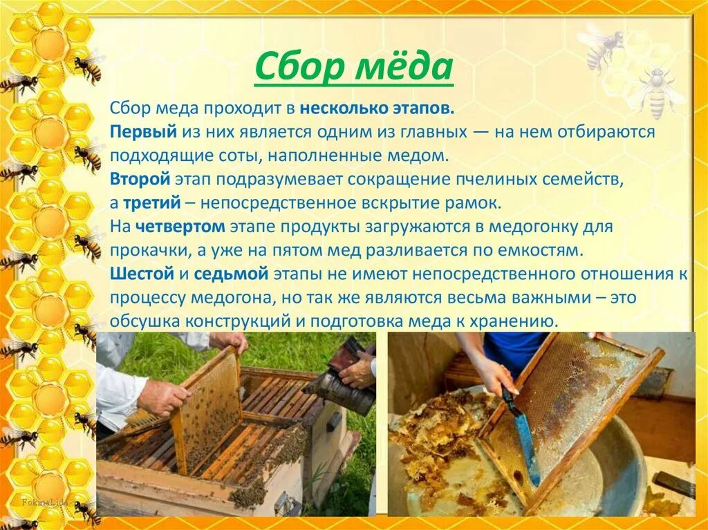 Улей для пчел своими руками чертежи