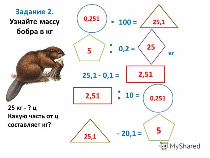 Масса бобра