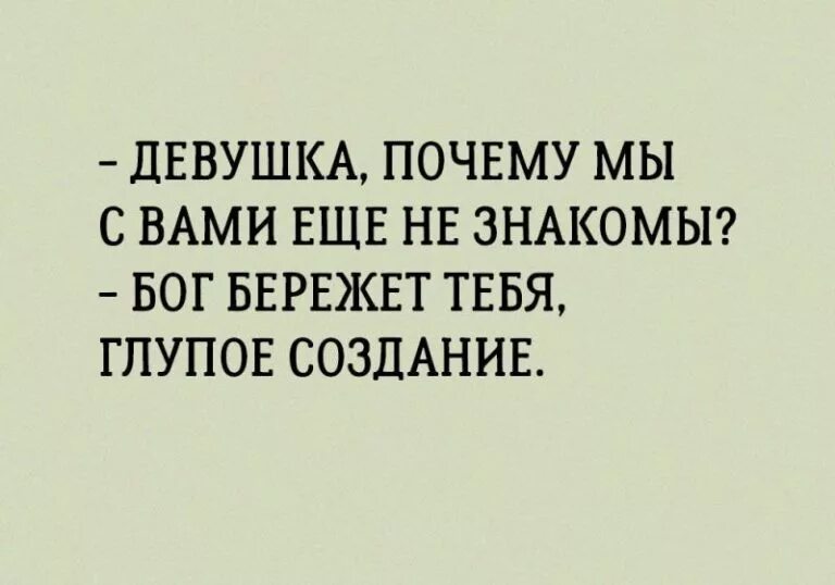 Глупый беречь. Бог бережет тебя глупое создание. Не знакомы Бог бережет тебя глупое создание. Бог бережет тебя глупое создание картинка. Берегу тебя глупое создание.