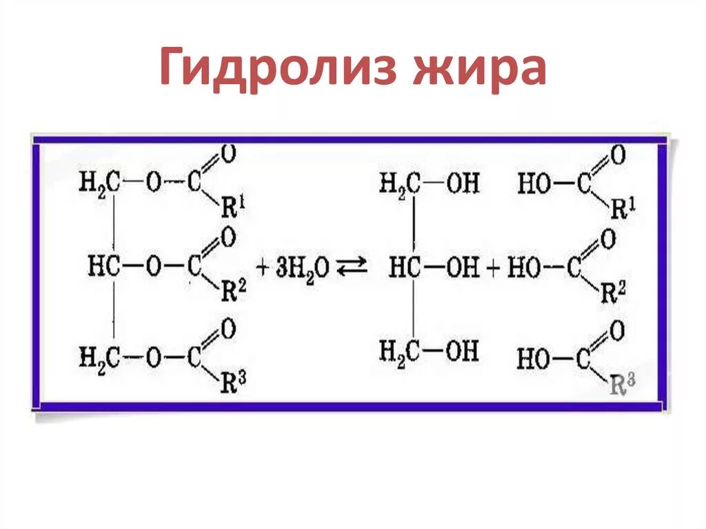 Кислый гидролиз жиров. Гидролиз глицеридов. Гидролиз жира в организме человека. Сложные эфиры жиры гидролиз. Гидролиз сложных эфиров и жиров.