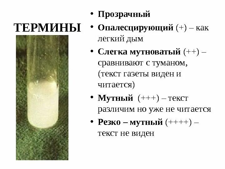 Что такое опалесценция. Опалесцирующий ликвор. Опалесцирует жидкость. Опалесцирующая спинномозговая жидкость. Опалесцирующий цвет жидкости.