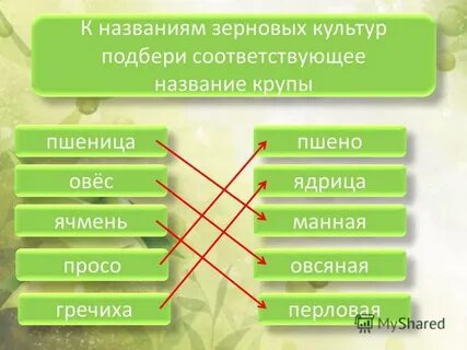 Культура подбери слова