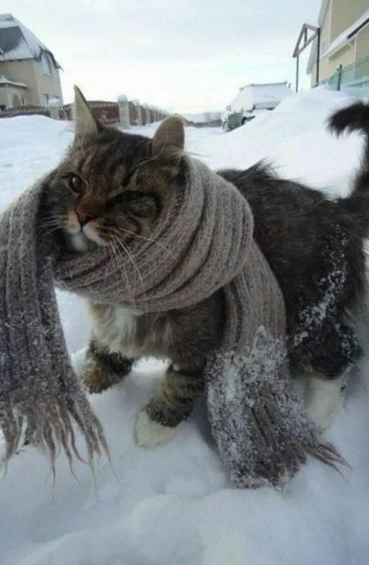 Когда теплеет